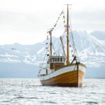 1 fjord history cruise Fjord & History Cruise