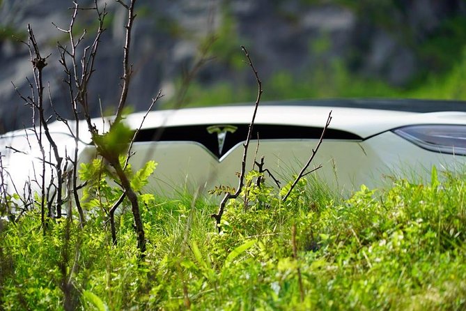 Fjord Sightseeing – Eco Friendly Tesla Model X