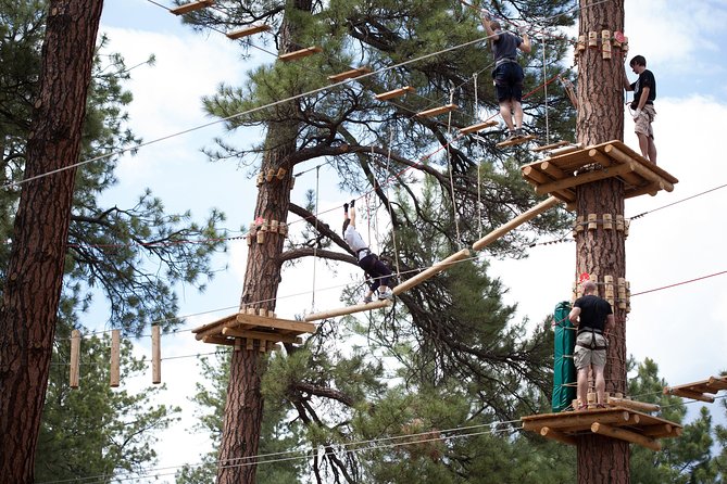 1 flagstaff extreme adventure course adult course Flagstaff Extreme Adventure Course-Adult Course