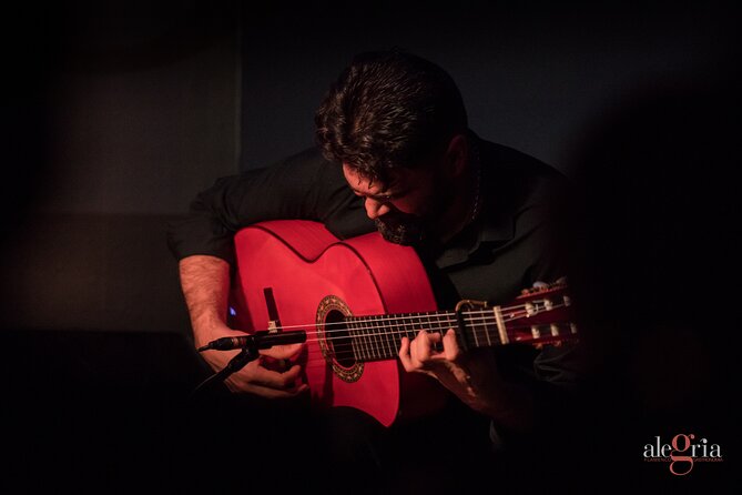Flamenco Passion in Málaga: Show With Optional Tasting