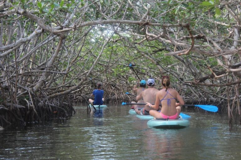 Florida Keys: Full-Day Kayak and Snorkel Reef Adventure