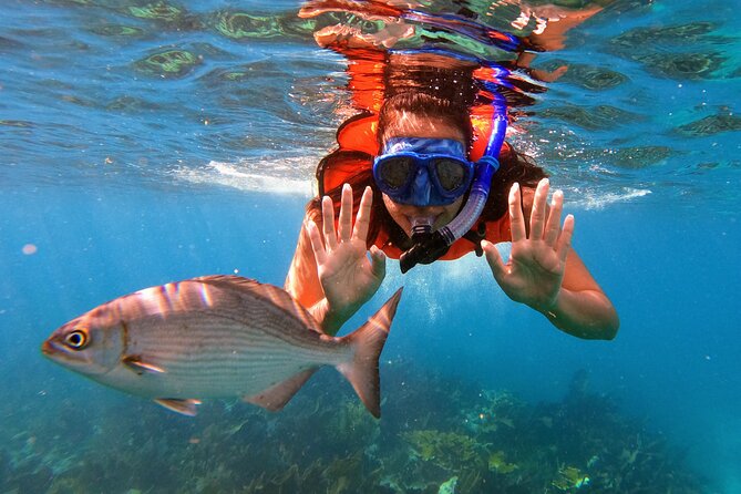 Florida Keys Snorkeling Adventure (Mar )
