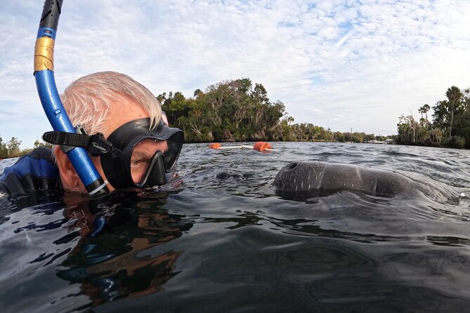Florida Manatees, Nature Park, and Airboat Tour From Orlando (Mar )