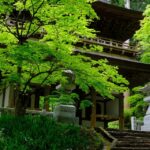 1 fm odawara forest bathing and onsen with healing power Fm Odawara: Forest Bathing and Onsen With Healing Power