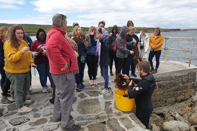 Food, Heritage & Cultural Tour Inishmore, Aran Islands. Guided.