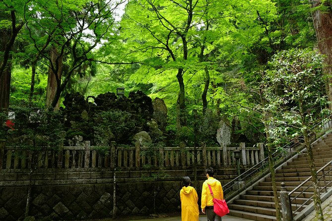 1 forest bathing in temple and enjoy onsen with healing power Forest Bathing in Temple and Enjoy Onsen With Healing Power
