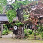 1 forest shrines of togakushi nagano private walking tour Forest Shrines of Togakushi, Nagano: Private Walking Tour