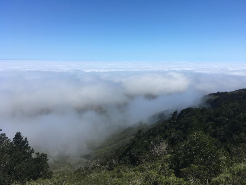 1 fray jorge forest national park and unesco reserve Fray Jorge Forest" National Park and UNESCO Reserve