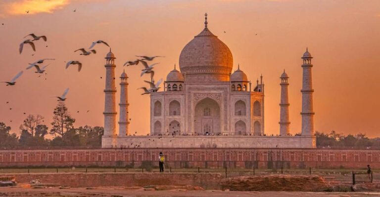 From Agra: Half Day Sunrise Tour of Taj Mahal With Agra Fort