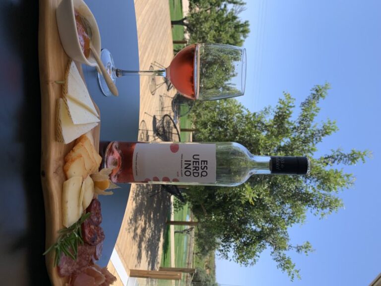 From Albufeira: 4×4 Off-Road Safari & Vineyard Wine Tasting