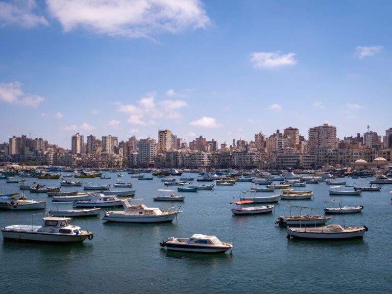 From Alexandria:- Highlights of Alexandria-full City Tour