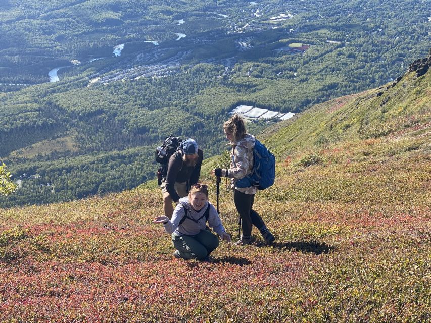 1 from anchorage chugach state park guided alpine trek From Anchorage: Chugach State Park Guided Alpine Trek