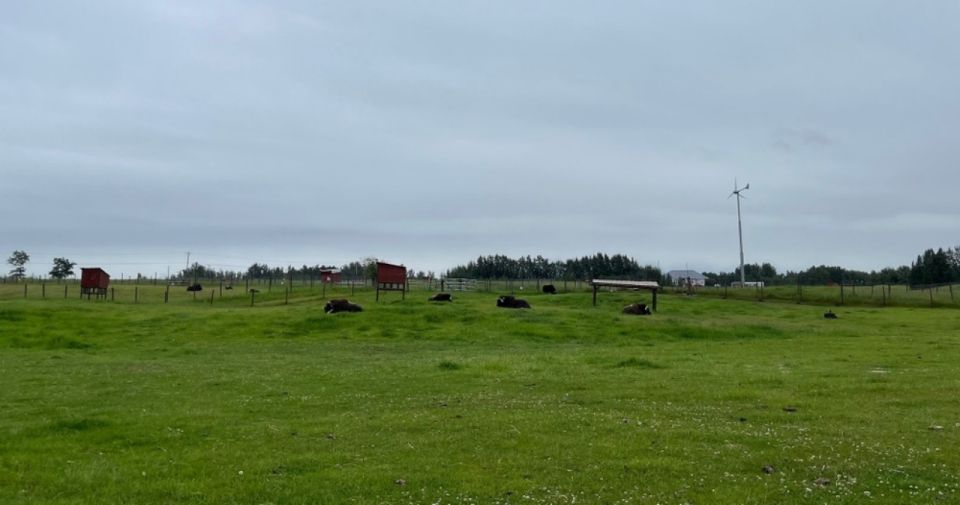1 from anchorage scenic drive and guided musk ox farm tour From Anchorage: Scenic Drive and Guided Musk Ox Farm Tour
