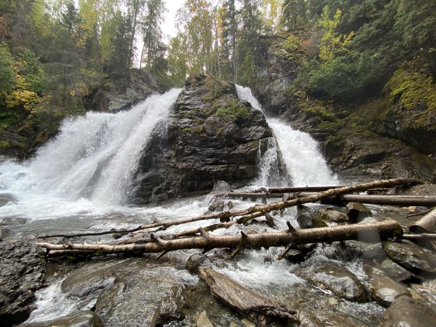 1 from anchorage valley and forest hike with naturalist guide From Anchorage: Valley and Forest Hike With Naturalist Guide