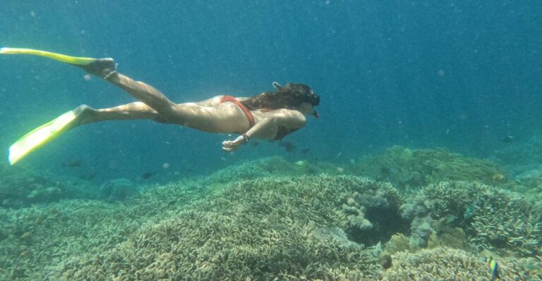 From Bali: Lembongan & Penida 2-Day Tour With Snorkeling