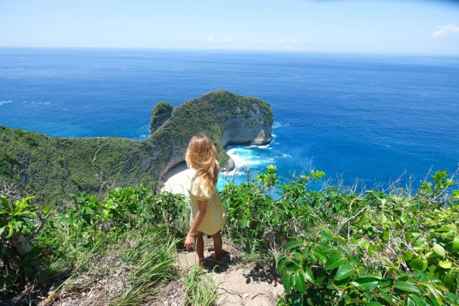 From Bali: Nusa Penida Island Adventure Cruise