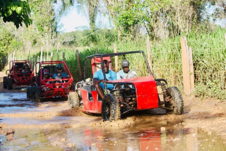 From Bayahibe: La Romana Buggy Tour With Local Tastings