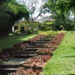 1 from bentota beruwala lunuganga brief garden marvels tour From Bentota/Beruwala: Lunuganga & Brief Garden Marvels Tour