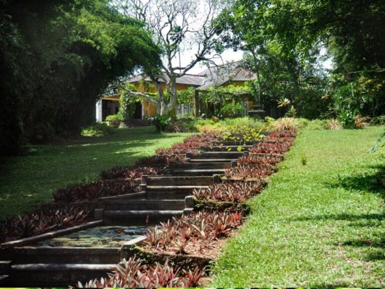 From Bentota/Beruwala: Lunuganga & Brief Garden Marvels Tour
