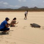 1 from boa vista turtle watching and nesting evening tour From Boa Vista: Turtle Watching and Nesting Evening Tour