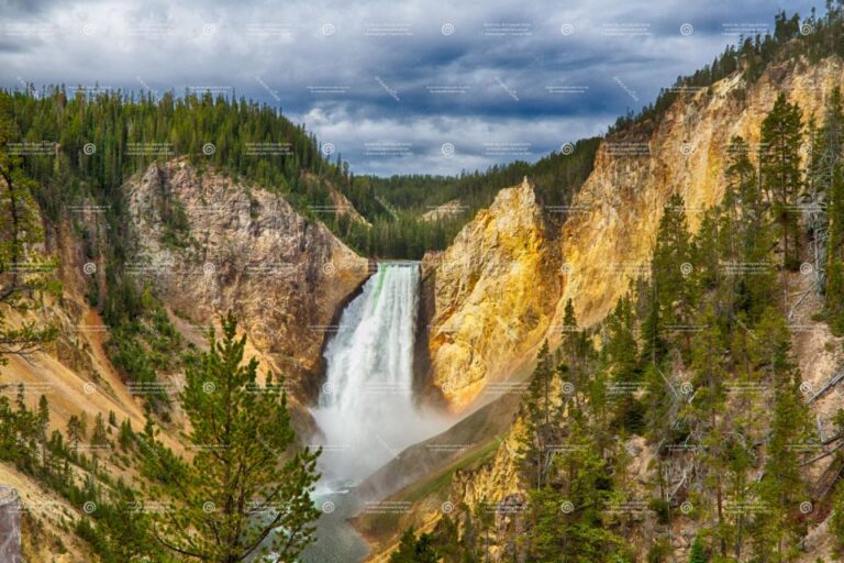 From Boseman: Yellowstone Day Tour Including Entry Fee