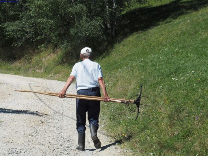 From Brasov: Piatra Craiului National Park 2-Day Guided Trek - Reservation and Payment Options