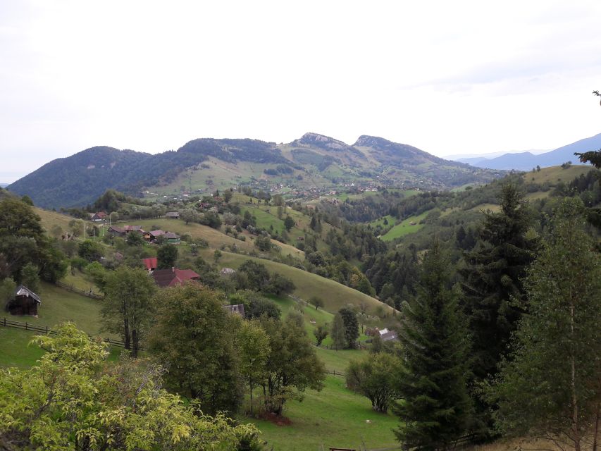 From Brasov: Piatra Craiului National Park & Village Tour - Key Points