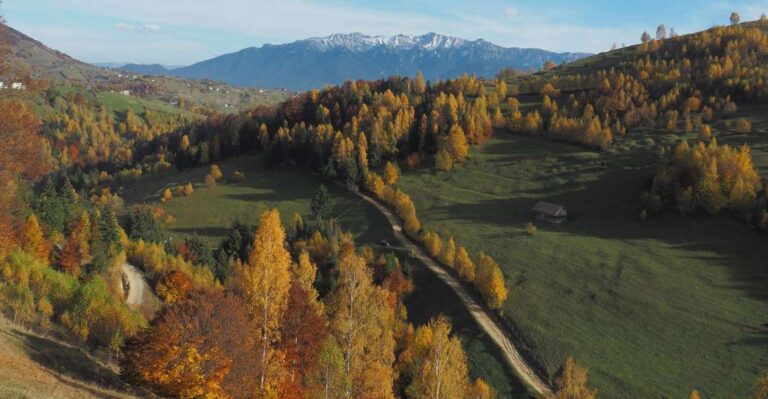 From Brasov: Romanian Mountain Villages Day Tour