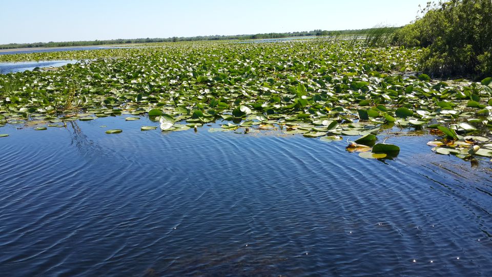 From Bucharest: 3-Day Danube Delta Birdwatching Private Tour - Key Points