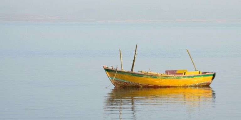 From Cairo: Fayoum Oasis and Wadi Al Rayan Guided Tour