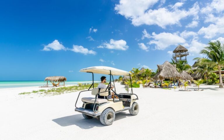 From Cancun: Guided Day Trip to Isla Holbox With Lunch