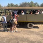 1 from cape town aquila game reserve game drive From Cape Town: Aquila Game Reserve & Game Drive
