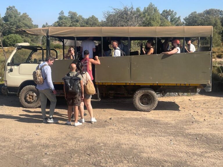 From Cape Town: Aquila Game Reserve & Game Drive