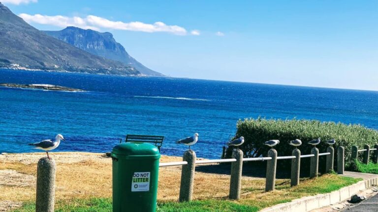 From Cape Town: Cape of Good Hope and Penguins Shared Tour