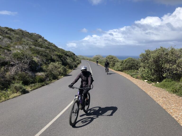 From Cape Town: Cape Point National Park E-Bike Tour