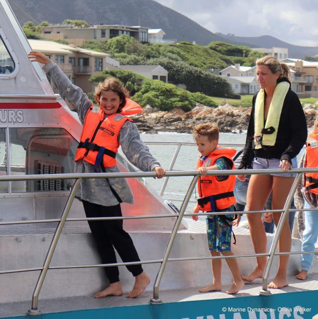 1 from cape town shark cage diving and viewing From Cape Town: Shark Cage Diving and Viewing
