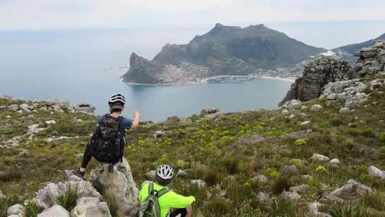 From Cape Town: Table Mountain Scenic E-Bike Tour With Lunch