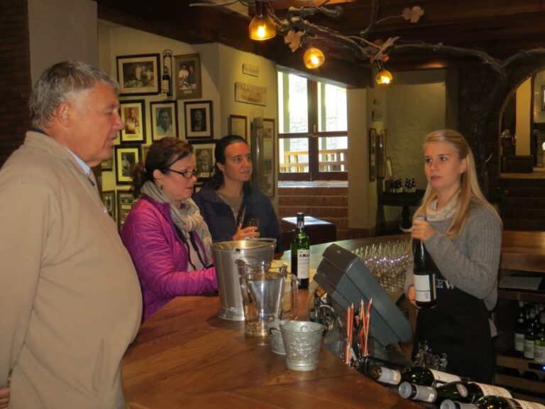 From Cape Town: Winelands Tour and Tastings