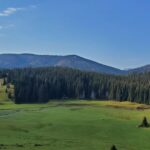 1 from cluj napoca carpathian mountains guided scenic hike From Cluj-Napoca: Carpathian Mountains Guided Scenic Hike