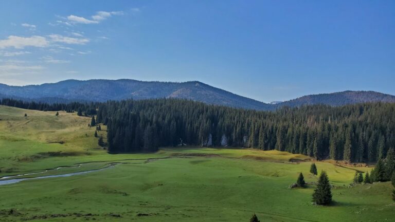 From Cluj-Napoca: Carpathian Mountains Guided Scenic Hike