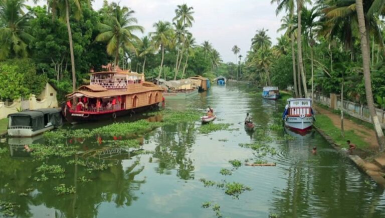 From Cochin: 8 Days Kerala Tour Package With Houseboat Stay