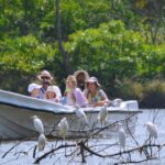 1 from colombo negombo lagoon mangrove boat excursion From Colombo: Negombo Lagoon (Mangrove )Boat Excursion