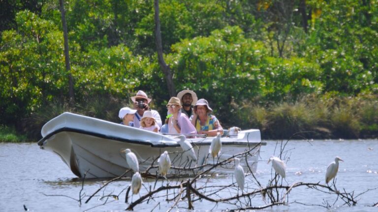 From Colombo: Negombo Lagoon (Mangrove )Boat Excursion