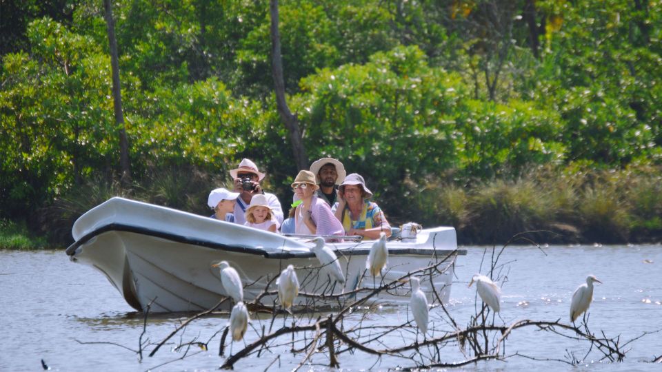 1 from colombo negombo lagoon mangrove boat From Colombo: Negombo Lagoon (Mangrove )Boat Excursion