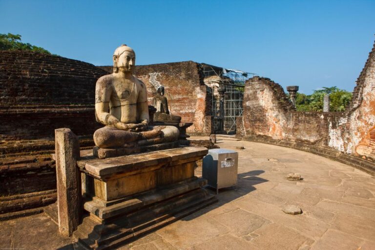 From Dambulla: Private Polonnaruwa and Minneriya Day Tour