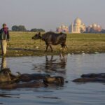 1 from delhi 3 day golden triangle luxury tour From Delhi: 3 Day Golden Triangle Luxury Tour