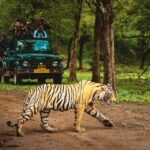 1 from delhi 5 day golden triangle ranthambore tiger safari 2 From Delhi: 5 Day Golden Triangle & Ranthambore Tiger Safari