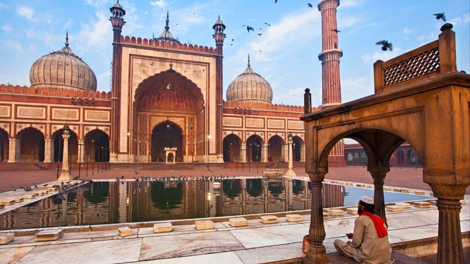 1 from delhi 5 days golden triangle tour with tiger safari From Delhi: 5-Days Golden Triangle Tour With Tiger Safari