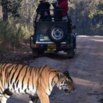1 from delhi 7 day golden triangle tour ranthambore safari From Delhi: 7-Day Golden Triangle Tour & Ranthambore Safari
