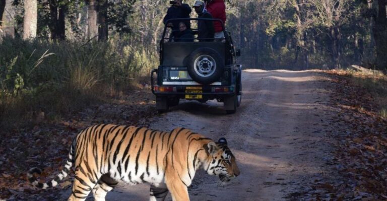 From Delhi: 7-Day Golden Triangle Tour & Ranthambore Safari